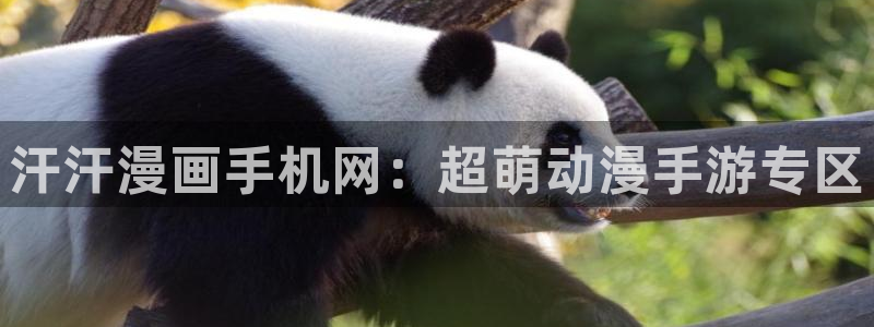yy漫画漫画网页：汗汗漫画手机网：超萌动漫手游专区