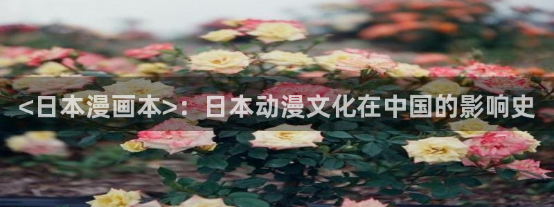 yy漫画渗透测试：<日本漫画本>：日本动漫文化在中国的影响史