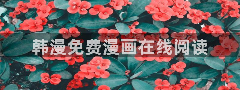 韩国免费yy漫画：韩漫免费漫画在线阅读
