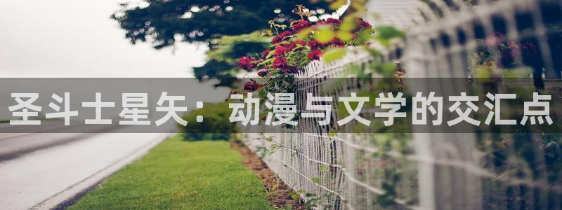 yy漫画登陆